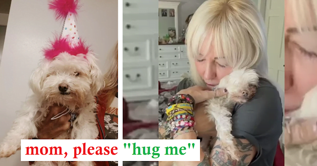 Blind and deaf old dog who has never felt love and care dances slowly with his new owner
