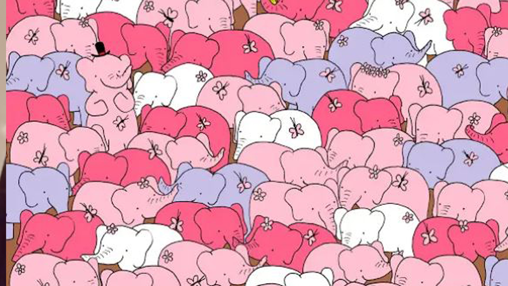 You have 20/20 vision if you can spot the heart hidden among the elephants in under 20 seconds